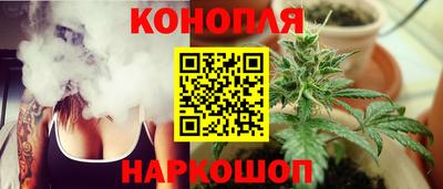 ПСИЛОЦИБИНОВЫЕ ГРИБЫ Краснодар