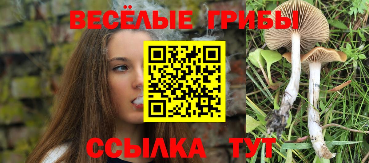 Галлюциногенные грибы GOLDEN TEACHER Мирный